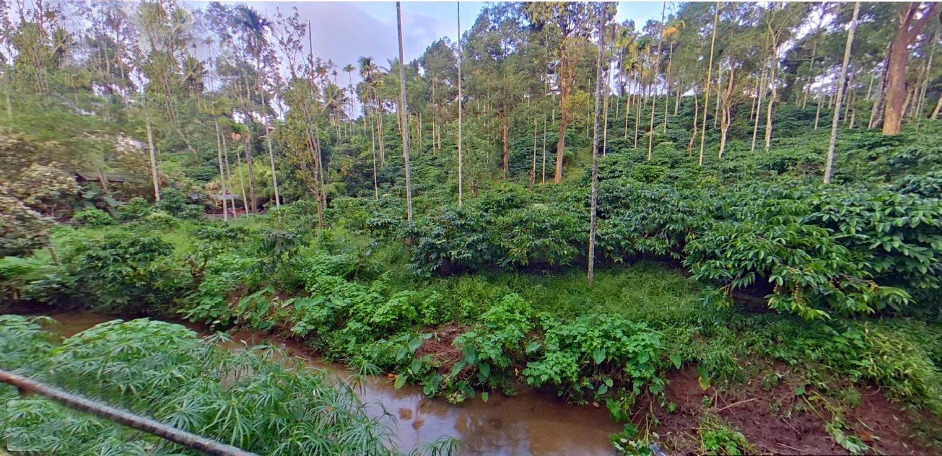 Bed and Breakfast Wayanad Royal Stream Kalpetta Exterior foto