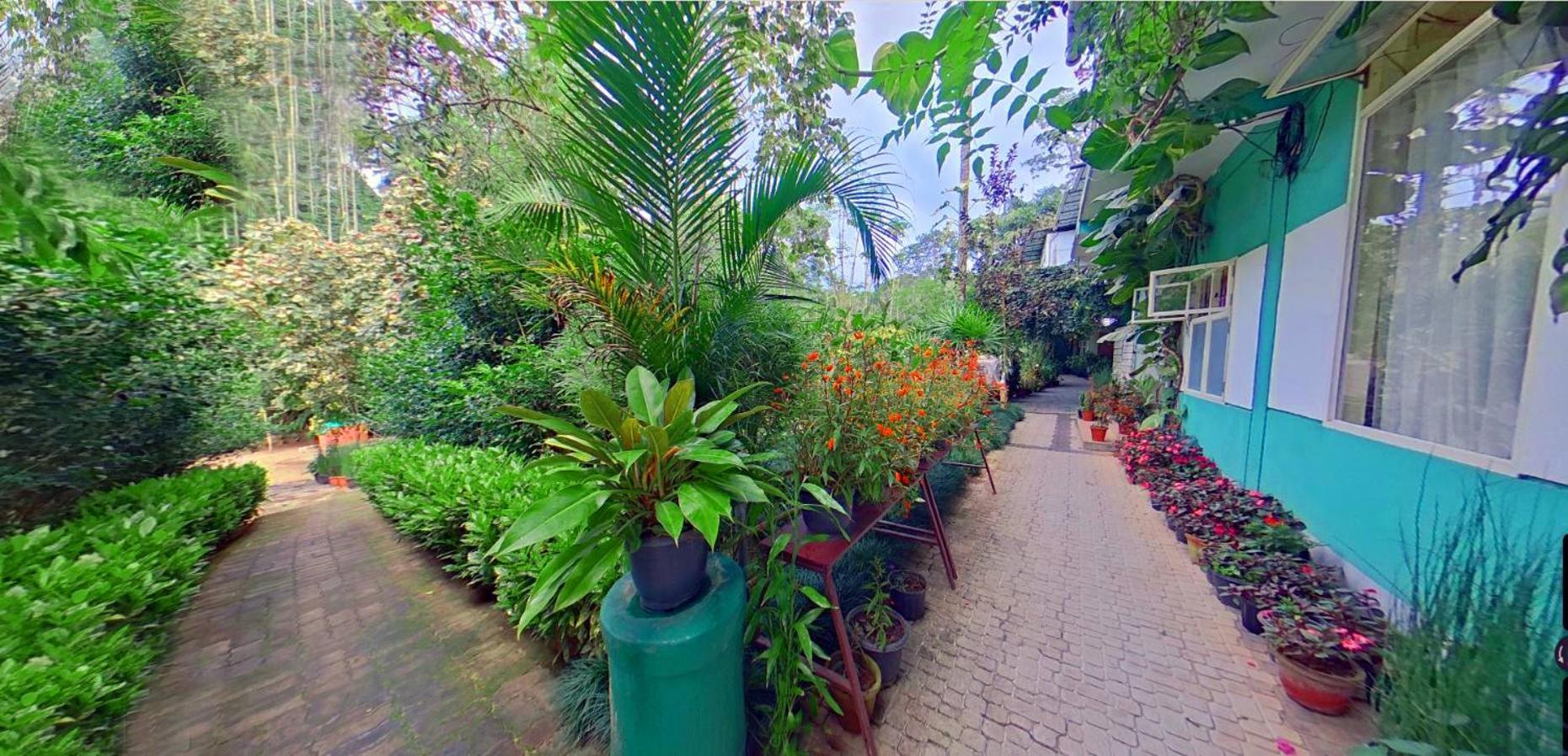 Bed and Breakfast Wayanad Royal Stream Kalpetta Exterior foto